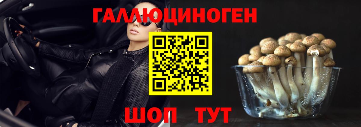 Псилоцибиновые грибы Psilocybine cubensis  продажа наркотиков  Каменск-Шахтинский  Вход с VPN 